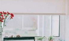 天涯社区乔任梁的故事