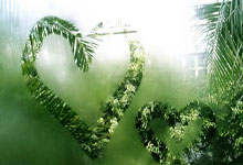 重庆天涯论坛征婚交友：你的姻缘在这里等你！